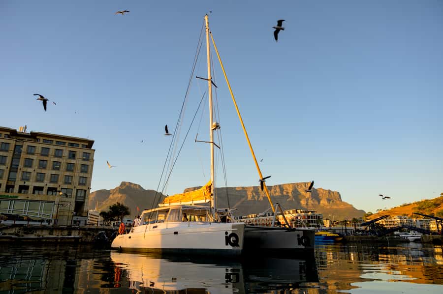 Cape Town: V&A Waterfront 1-Hour Scenic Cruise - Key points to know before you book