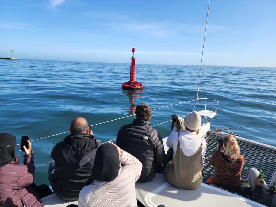 Cape Town: V&A Waterfront 1-Hour Scenic Cruise - Who will enjoy this cruise most?