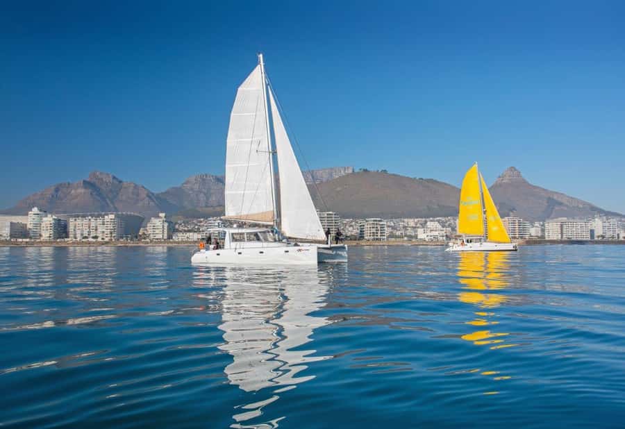 Cape Town: V&A Waterfront 1-Hour Scenic Cruise - A drink, a blanket, and a little confusion