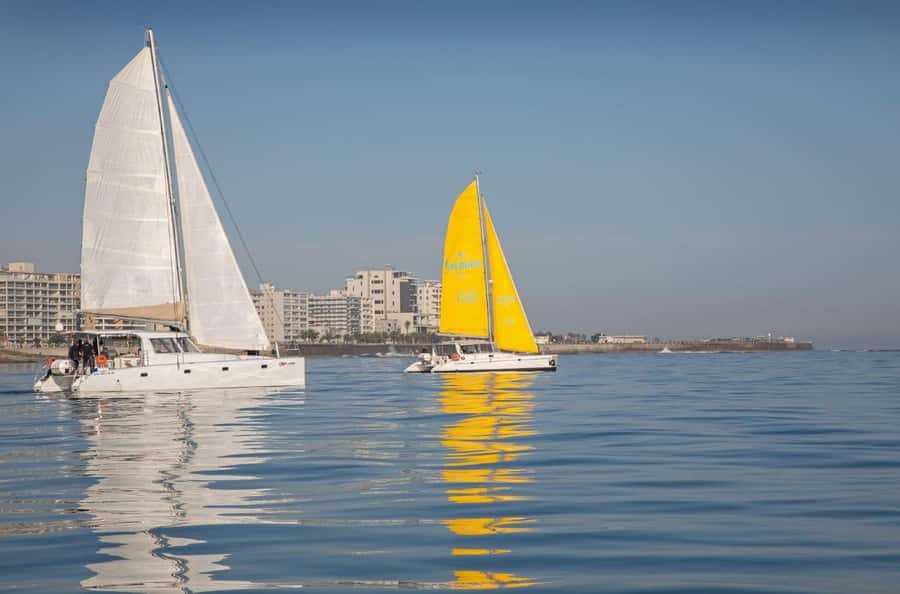 Cape Town: V&A Waterfront 1-Hour Scenic Cruise - What the $27 price delivers