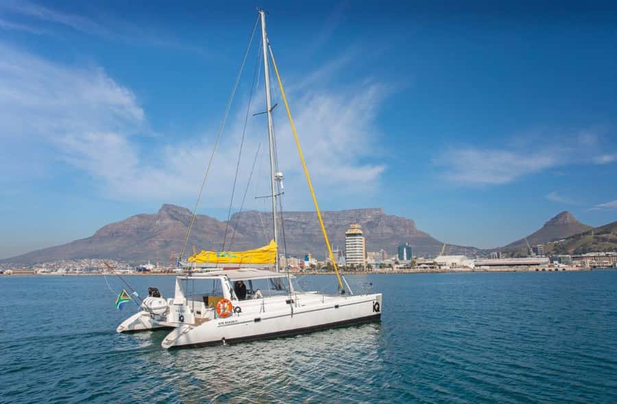 Cape Town: V&A Waterfront Gin Voyage Cruise - Choosing your seat: trampolines, cushions, or shelter
