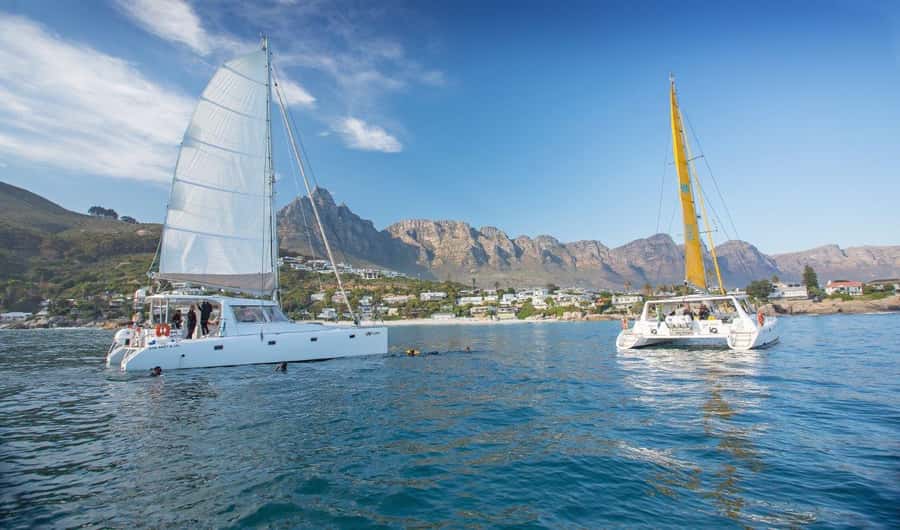 Cape Town: V&A Waterfront Gin Voyage Cruise - What the one-hour route feels like