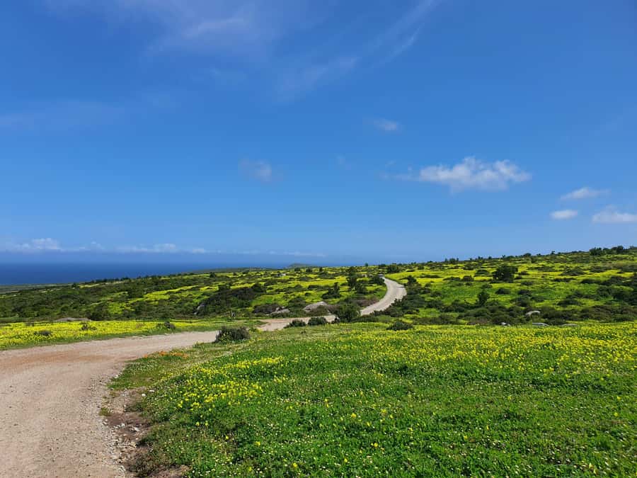 Cape Town: West Coast Spring Tour 2025 - Who will enjoy this West Coast day