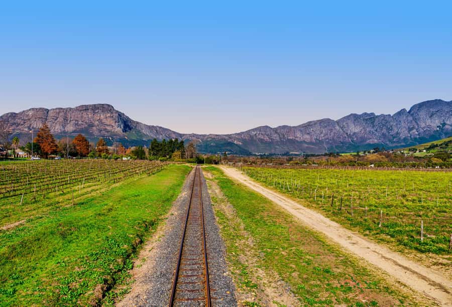 Cape Town: Wine Tram & Winelands Tour with Tastings & Pickup - What the Guides Add to the Experience