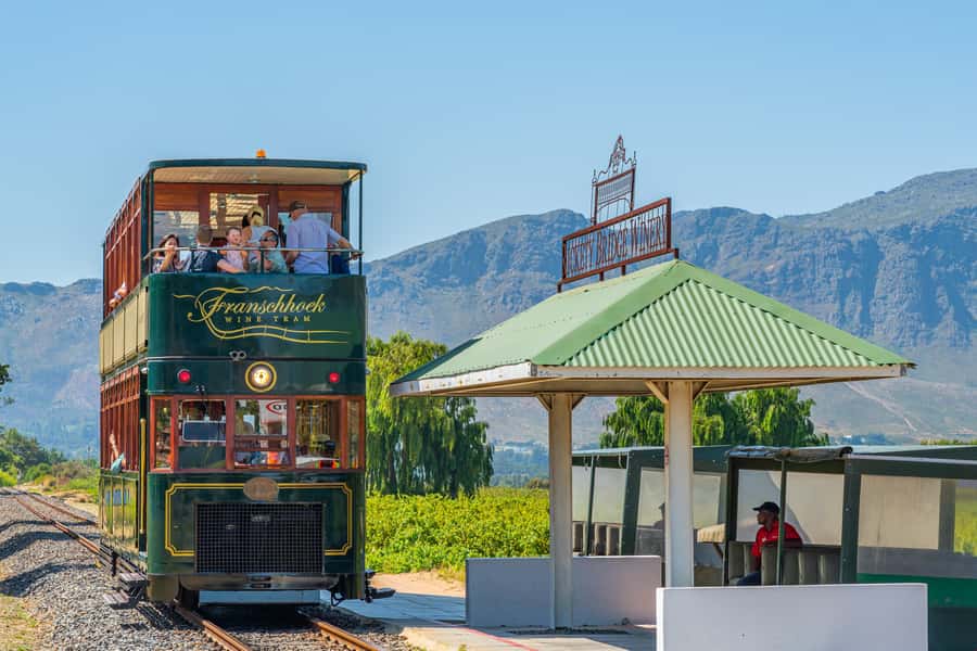 Cape Town: Wine Tram & Winelands Tour with Tastings & Pickup - Group Size, Comfort, and Timing