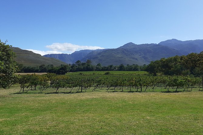 Cape Winelands and Wine Tasting Full Day Tour - Fairview: the strongest first stop for food lovers