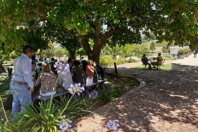 Cape Winelands and Wine Tasting Full Day Tour - Eikenhof: a smaller family farm in Franschhoek
