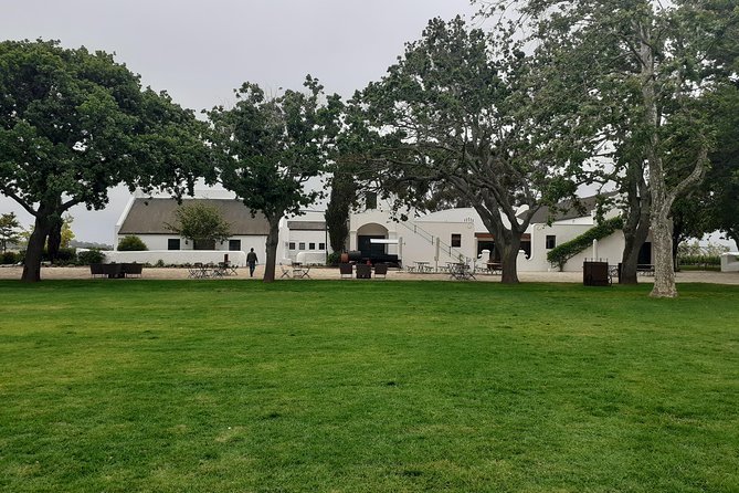 Cape Winelands and Wine Tasting Full Day Tour - Marianne Wine Estate: Stellenbosch wine with a South African pairing