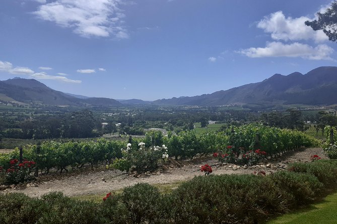 Cape Winelands and Wine Tasting Full Day Tour - Stellenbosch: a short walk through an old university town