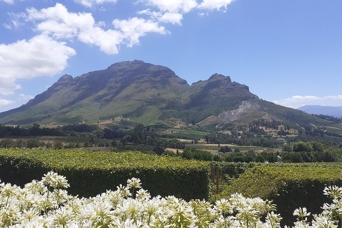Cape Winelands and Wine Tasting Full Day Tour - How flexible is the day?