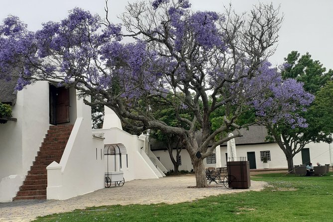 Cape Winelands and Wine Tasting Full Day Tour - Private tour or small group outing?