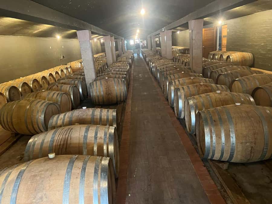 Cape Winelands Experience: Paarl, Stellenbosch & Franschhoek - Key points at a glance