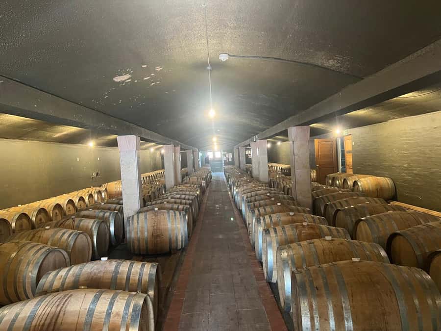 Cape Winelands Experience: Paarl, Stellenbosch & Franschhoek - Three wine regions, one long day from Cape Town