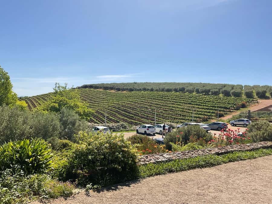 Cape Winelands Experience: Paarl, Stellenbosch & Franschhoek - Franschhoek brings French influence and food culture