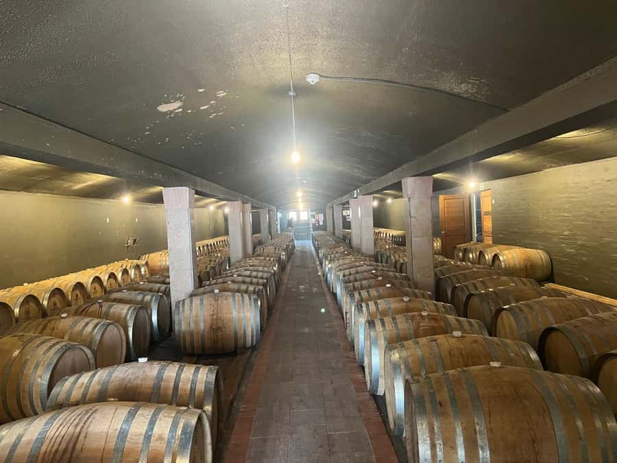 Cape Winelands Experience: Paarl, Stellenbosch & Franschhoek - Fairview in Paarl starts the tasting with cheese