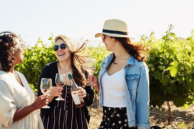 Cape Winelands Explore Full Day Tour with Private Transfer - Plaisir de Merle and its old farm setting