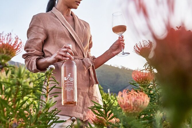 Cape Winelands Explore Full Day Tour with Private Transfer - The guides make a real difference