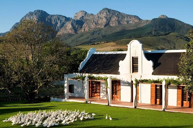 Cape Winelands Explore Full Day Tour with Private Transfer - Who should choose this day out