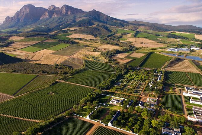 Cape Winelands Explore Full Day Tour with Private Transfer - Fairview: starting with wine and farmer’s cheese
