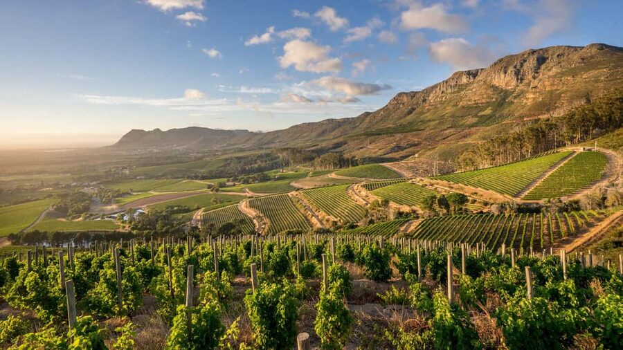 Capetown Private Wine Tour: Manor tour, cellar tour included - Private transport and the human factor