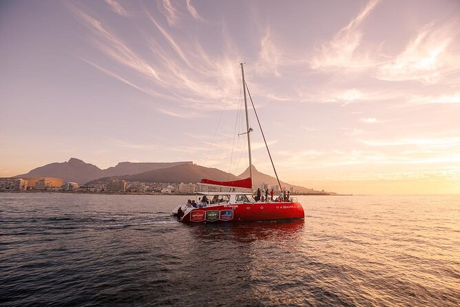 Catamaran Sunset Champagne Cruise Cape Town - Key points before you book