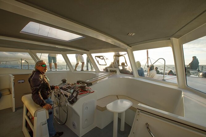 Catamaran Sunset Champagne Cruise Cape Town - Is $37.38 good value?