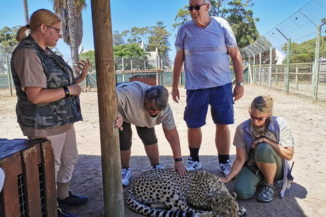 Cheetah Outreach Tour Somerset West, Gordon's Bay and Strand Beaches - Small details that make the day easier