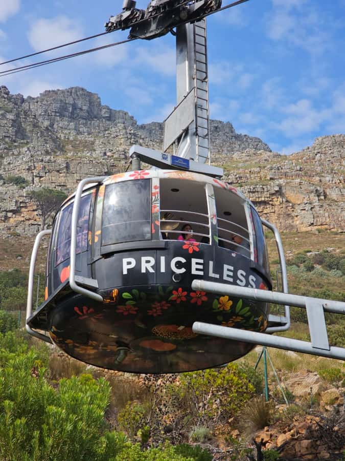 City Tour: Table Mountain, Kirstenbosch & Wine - A full Cape Town sampler in seven hours