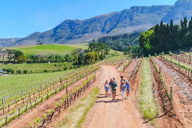 Constantia Wine Walk Storytelling Vineyard Tour with Lunch - Key points to know before booking