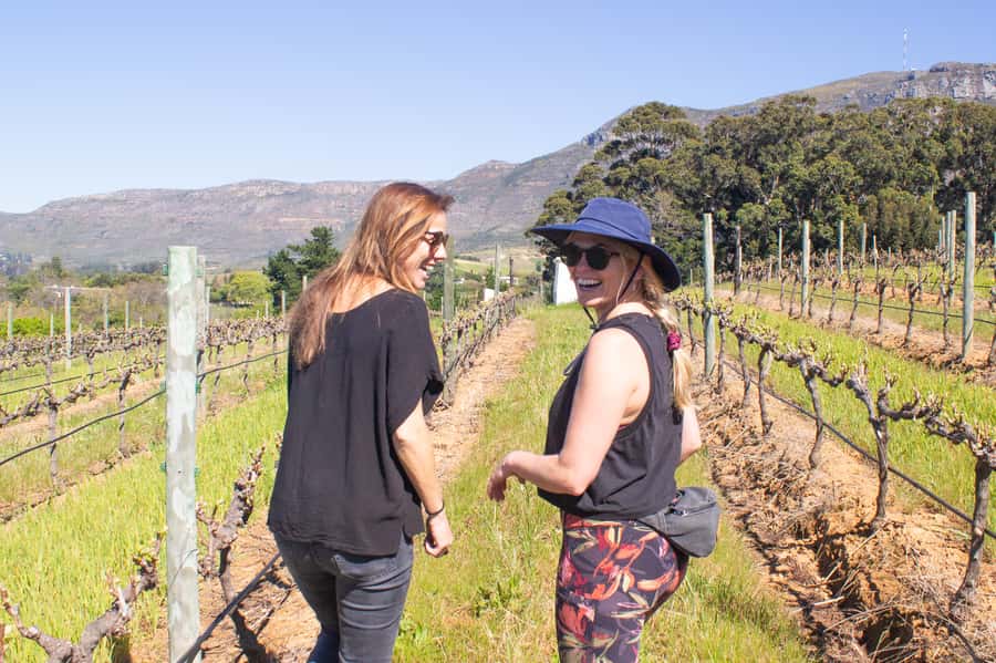 Constantia: Wine Walk with Lunch and Enchanting Stories - Klein Constantia and the Vin de Constance moment