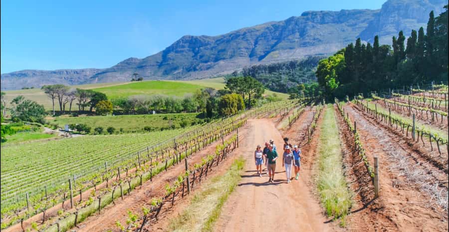 Constantia: Wine Walk with Lunch and Enchanting Stories - Starting at Groot Constantia
