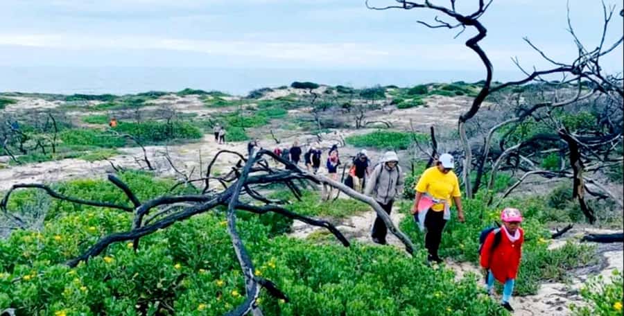Costal Hiking Sacramento Trail: Port Elizabeth - What to pack for an exposed coastal walk