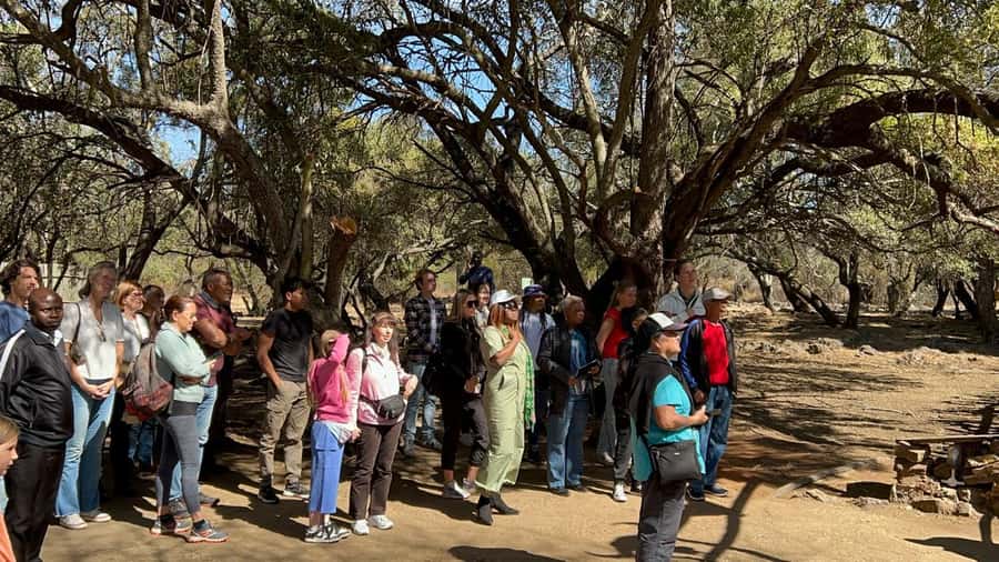 Cradle of Humankind and Lesedi Cultural Village - Is $218 good value?