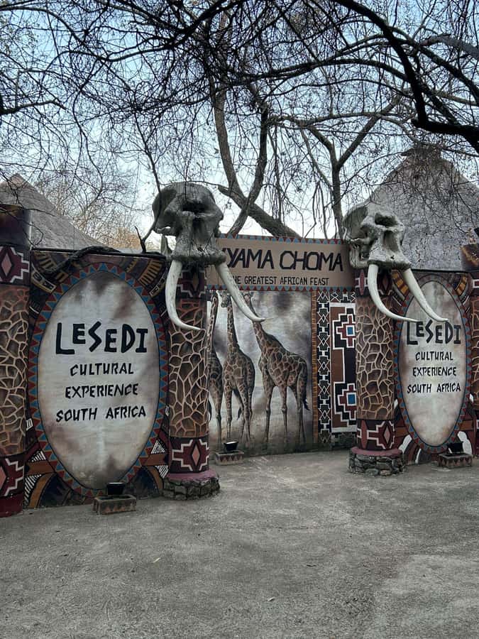 Cradle of Humankind and Lesedi Cultural Village - What to expect at the Cradle of Humankind