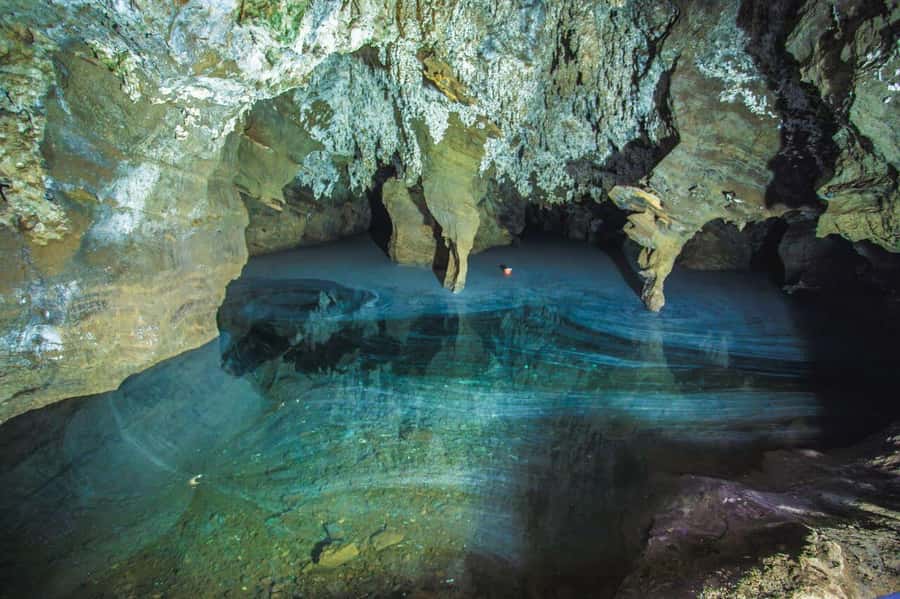 Cradle of Humankind and Sterkfontein Caves Half-Day Tour - A short pause near the caves