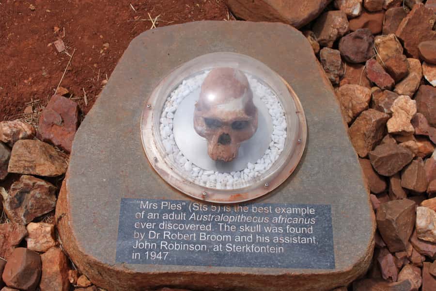 Cradle of Humankind and Sterkfontein Caves Half-Day Tour - Lunch, shopping, and the real cost