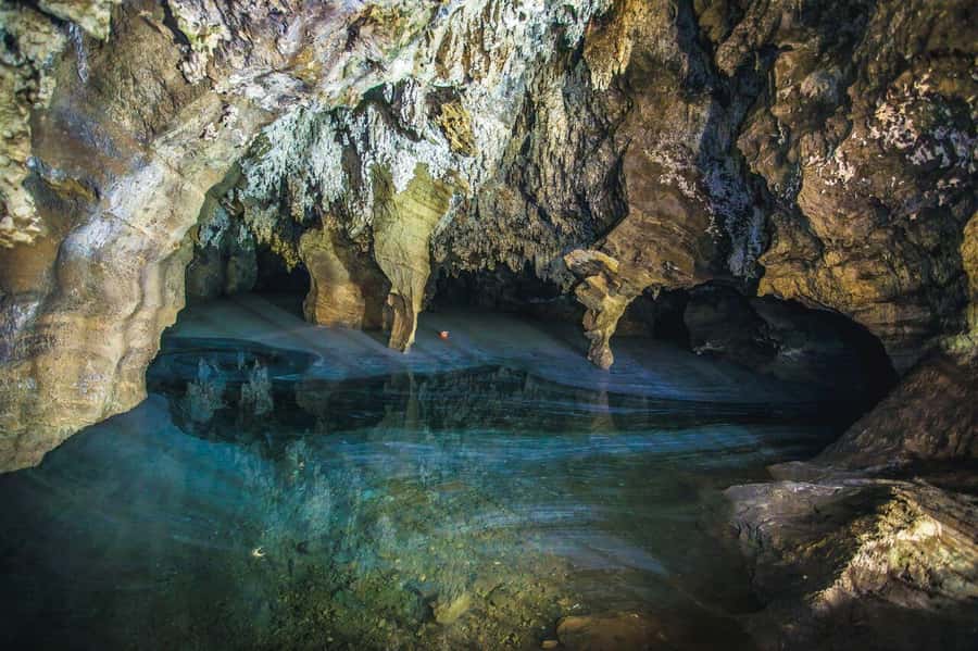Cradle of Humankind and Sterkfontein Caves Half-Day Tour - Transport, timing, and group size