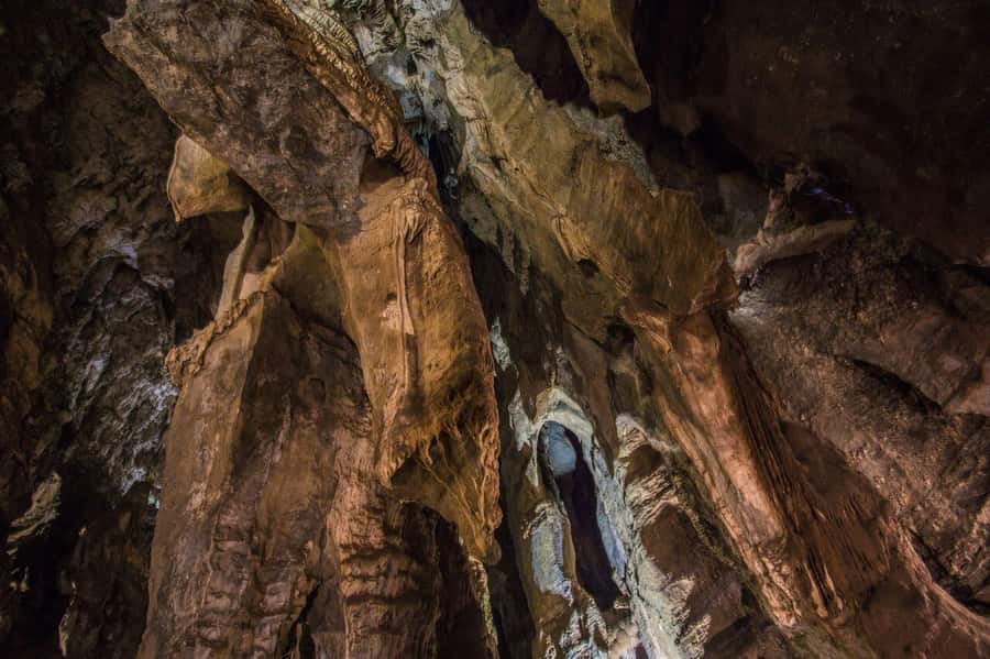 Cradle of Humankind and Sterkfontein Caves Half-Day Tour - Who should book this experience?