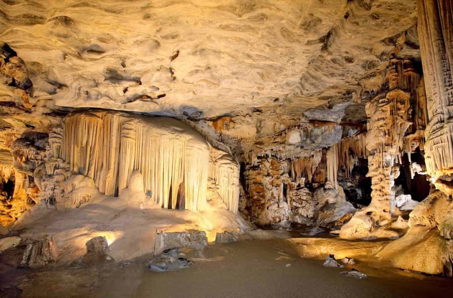 Cradle of Humankind and Sterkfontein Caves Half-Day Tour - The morning drive from Johannesburg