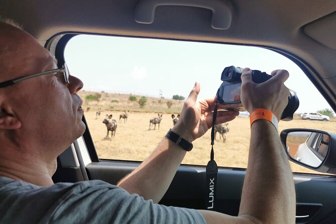Cradle of Humankind, Caves or Maropeng, Rhino and Lion Park - Planning the day and extra costs