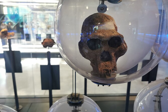 Cradle of Humankind, Caves or Maropeng, Rhino and Lion Park - Sterkfontein Caves and the Cradle of Humankind