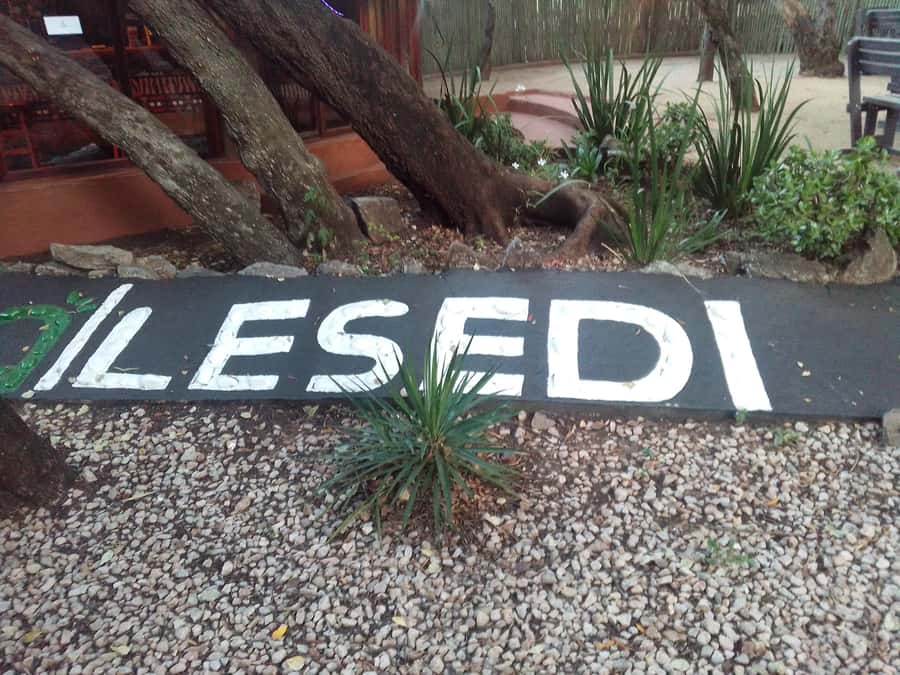 Cradle Of Humankind, Lesedi Cultural Village & Lion's Park - Key points to know before booking