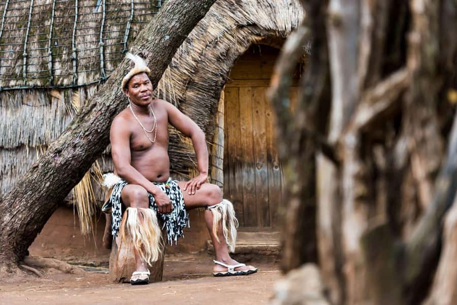 Cradle Of Humankind, Lesedi Cultural Village & Lion's Park - Lesedi Cultural Village and its five traditional homesteads