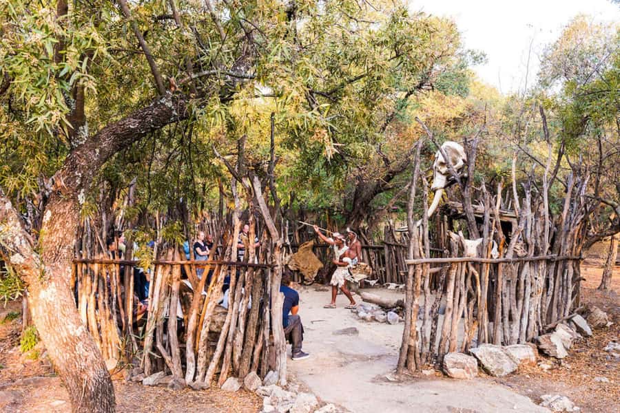 Cradle Of Humankind, Lesedi Cultural Village & Lion's Park - Nyama Choma lunch: useful, but not included
