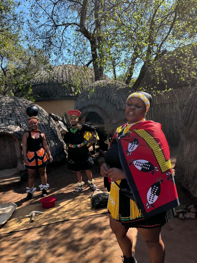 Cradle Of Humankind, Lesedi Cultural Village & Lion's Park - The 7:30 AM pickup from Johannesburg or Pretoria