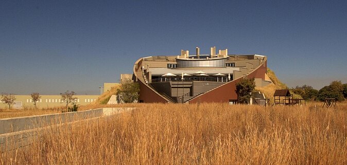 Cradle of Humankind Tour with Lion Safari from Johannesburg - Key points to know before booking