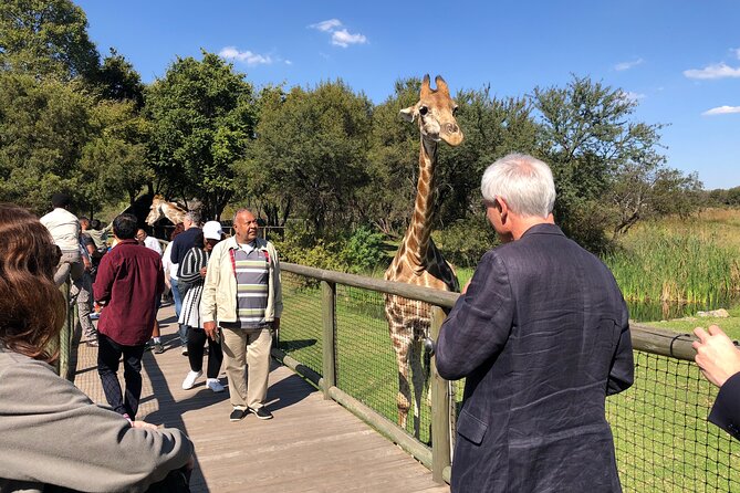 Cradle of Humankind Tour with Lion Safari from Johannesburg - Why this makes sense as a Johannesburg day trip