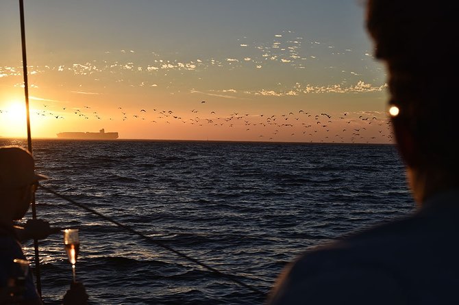Cruise and Dine Dinner / Cape Town: Sunset Champagne Cruise and 3-Course Dinner - Why this Cape Town pairing works