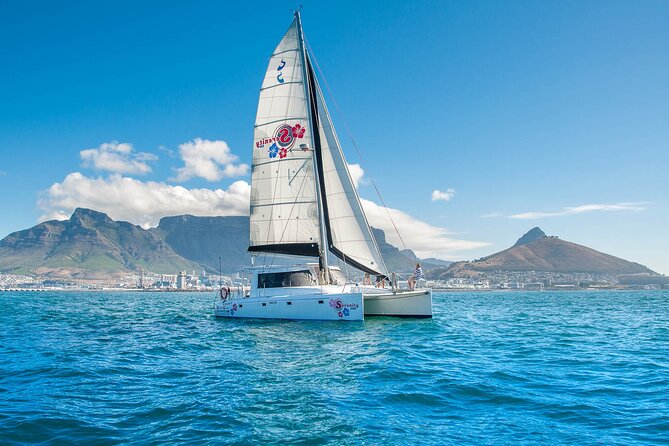 Cruise and Dine Dinner / Cape Town: Sunset Champagne Cruise and 3-Course Dinner - The 90-minute sunset cruise