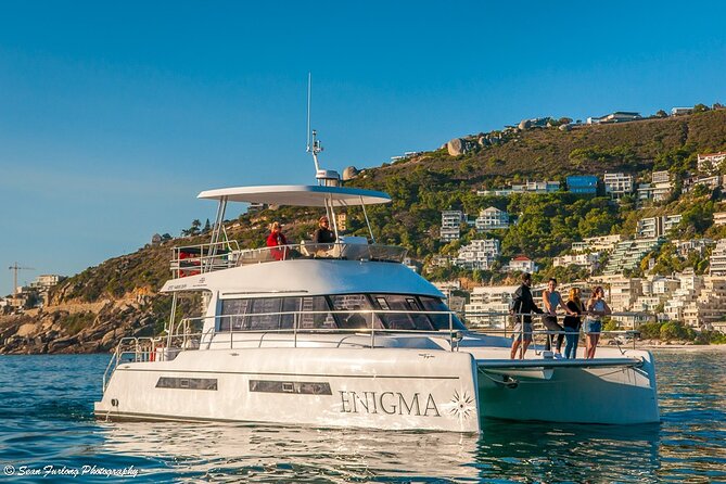 Cruise and Dine Lunch / Cape Town: Coastal Motor Cruise and 2-Course Lunch - Table Mountain, waves and possible marine life